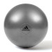 Купить Фитбол  Adidas Gymball серый Уни 65 см  в Киеве - фото №1